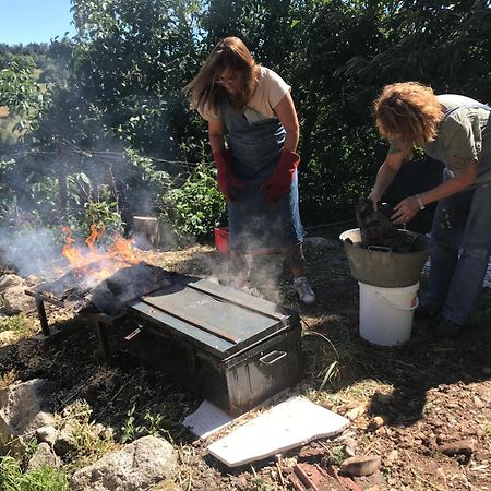 Chambres Et Tables D'Hotes - Les Ateliers De Pontajou - Pelerin Navette Gratuite A Saugues Venteuges Zewnętrze zdjęcie